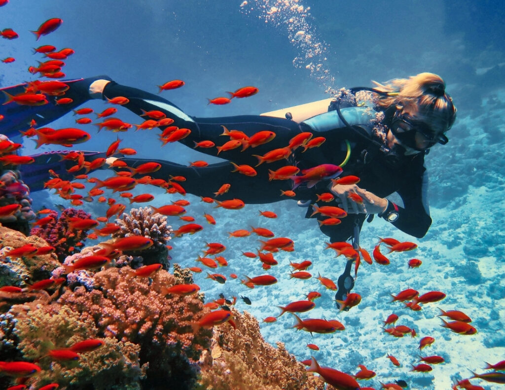 Scuba-Diving-Great-Barrier-Reef-Australia