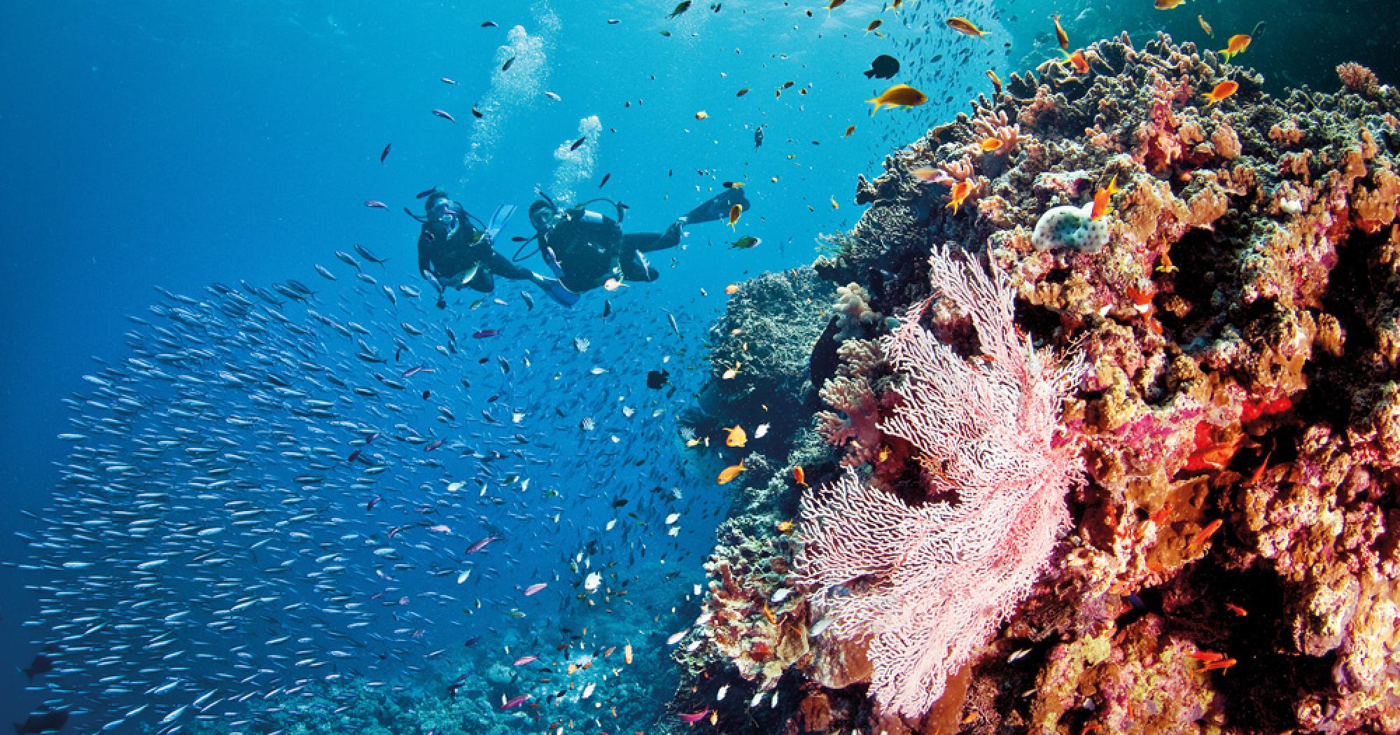 Great-Barrier-Reef-Scuba
