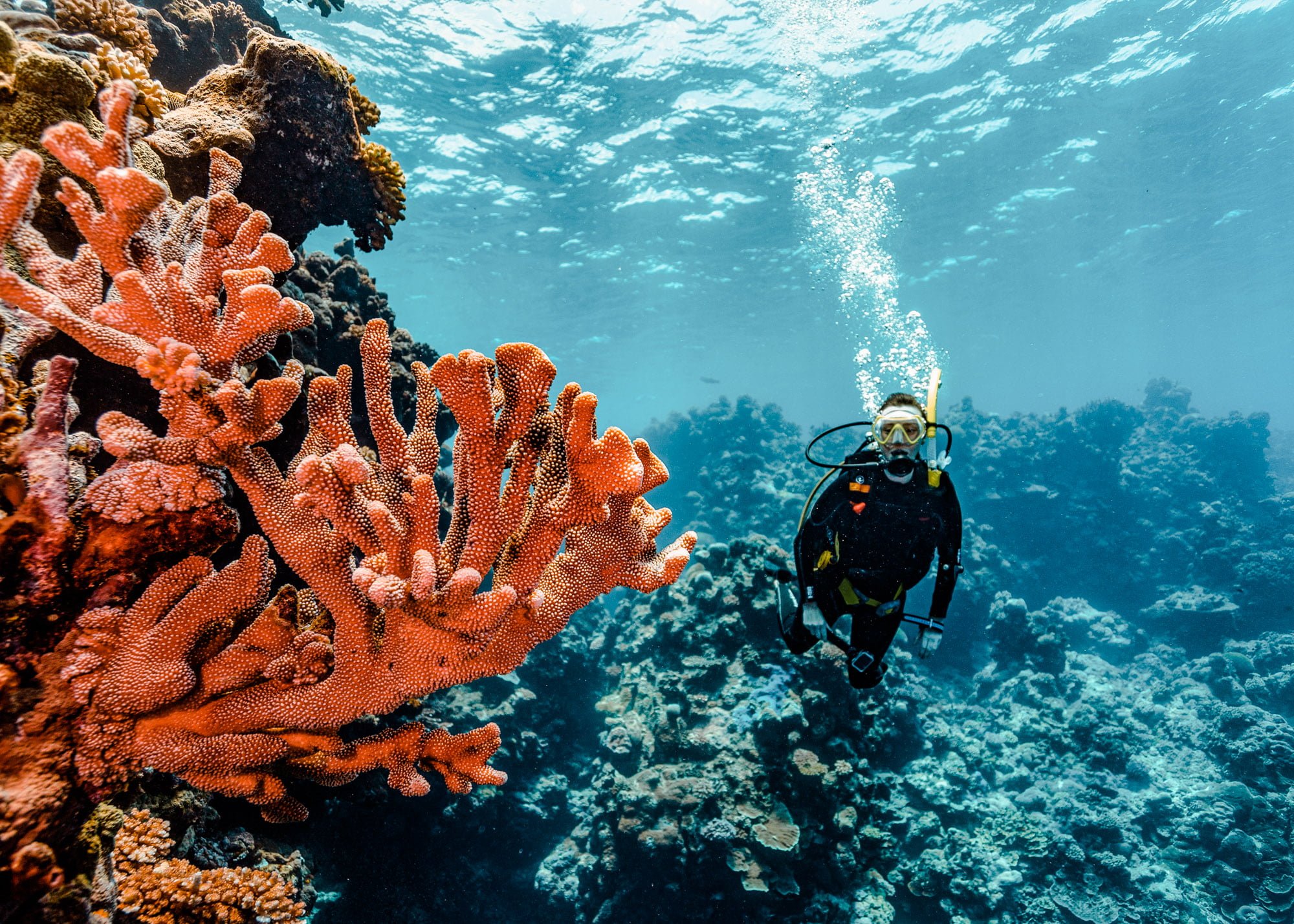 Scuba-Great-Barrier-Reef