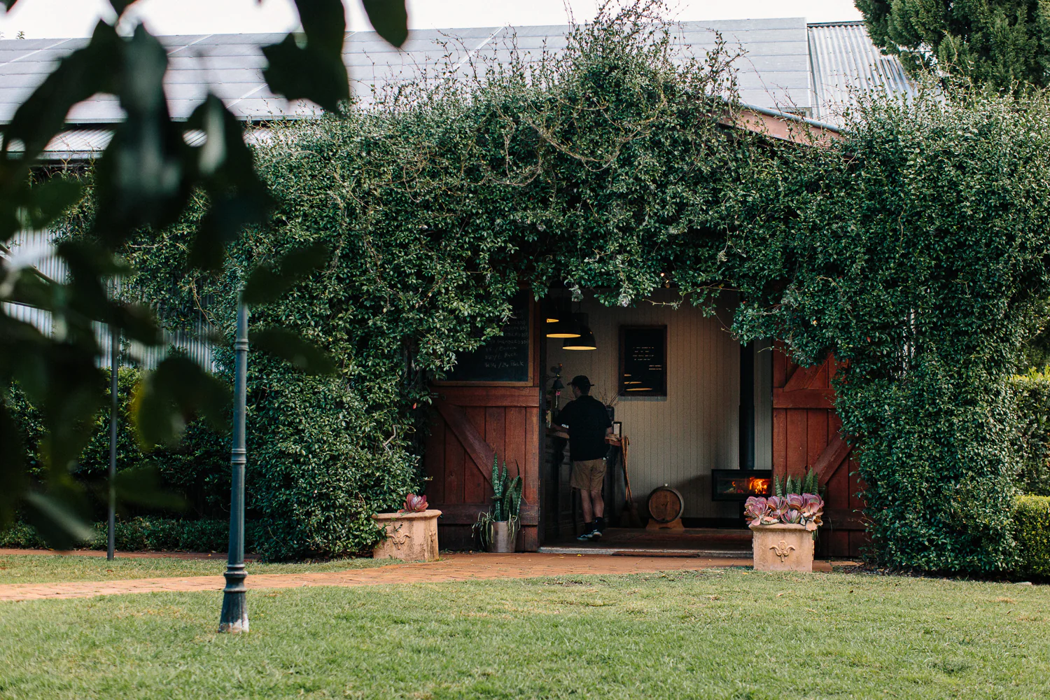 Witches-Falls-Winery