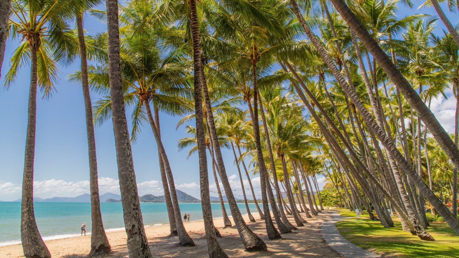 Palm Ree Ref The Best Beaches in Palm Cove, Cairns & Great Barrier Reef