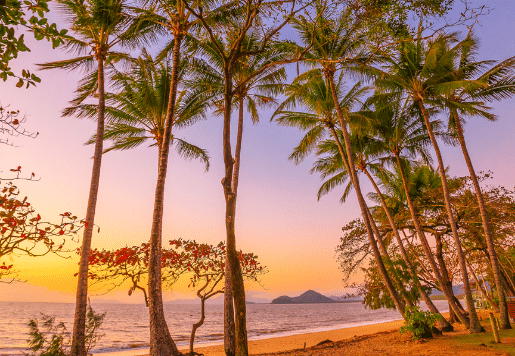 sunset-at-palm-cove-beach