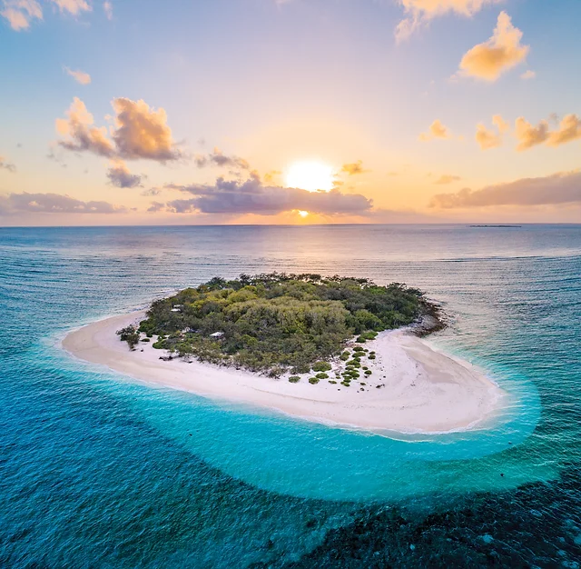 wilson-island-great-barrier-reef