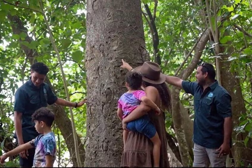 Uncover Babinda Boulders | Cassowaries | Aboriginal Culture 4 aboriginal-culture-tour