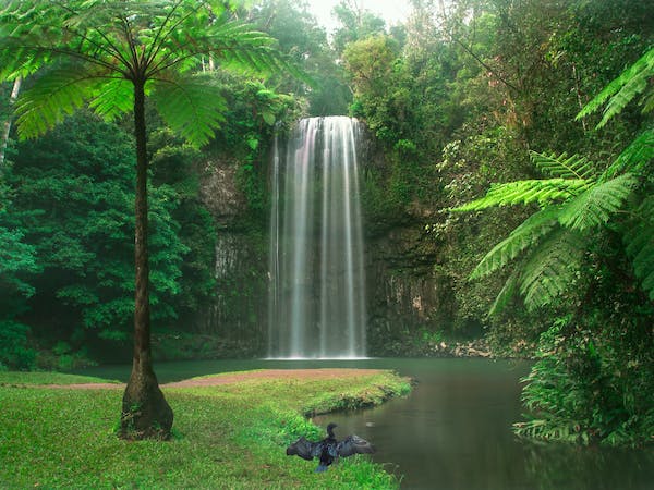 Paronella Park, Lake Barrine & Millaa Millaa Falls | Day Tour 4 milla-milla-falls