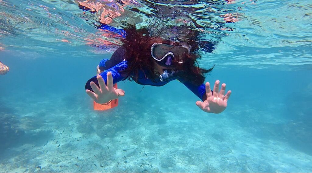Mission Beach Queensland Guide 2026 | Best Time to Visit Dry Season Guide 4 mission beach dive dunk island