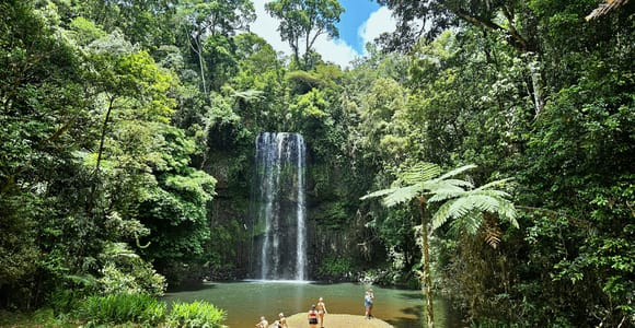 From Cairns: Atherton Tablelands and Paronella Park Day Trip 1