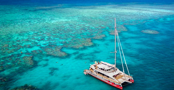 Home 18 From Cairns: Great Barrier Reef Cruise by Premium Catamaran