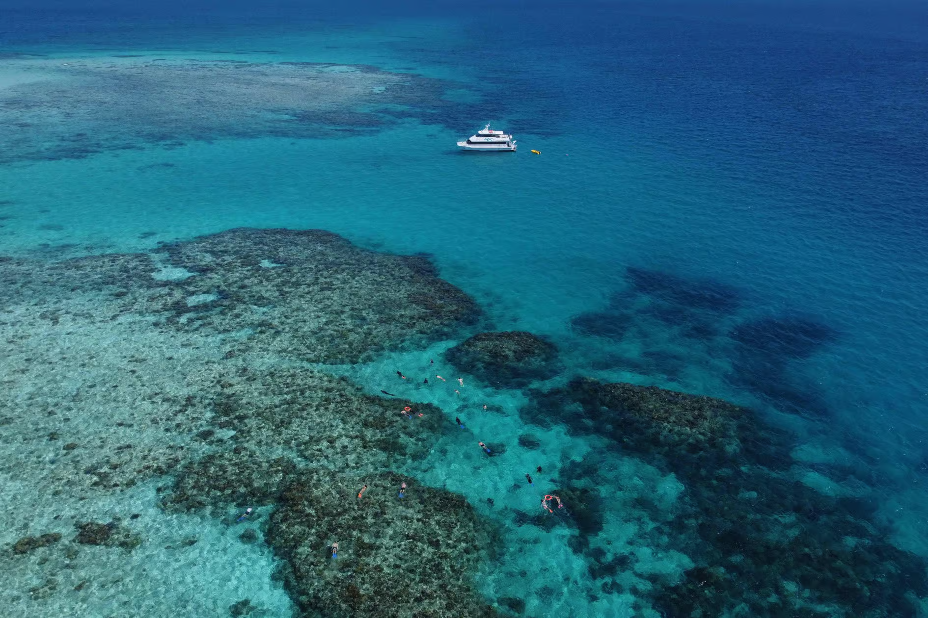 Cairns: Outer Great Barrier Reef & Dunk Island Small Group