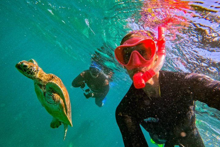 Airlie Beach: Whitehaven Beach Day Tour with Snorkel Option 3 Whitehaven Beach Tour: 2 Options - All Day Beach Or Snorkel