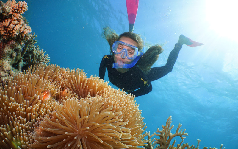 Great Barrier Reef Winter Snorkelling 2026: Why June–August Is the Best Time to Dive the Ribbon Reefs 1 Great Barrier Reef Winter Snorkelling 2026