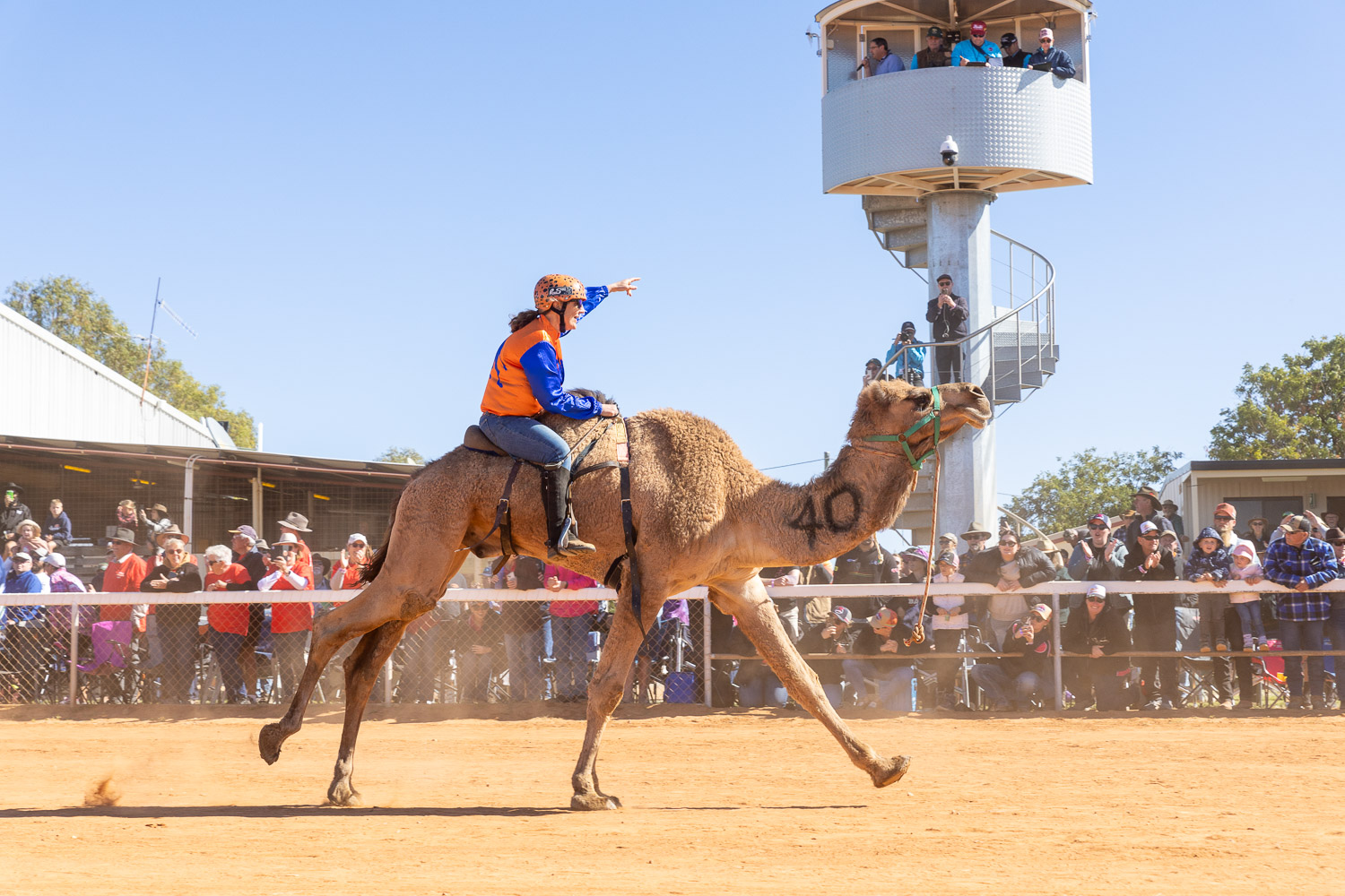Boulia Camel Races 2026: Your Complete Guide to Australia's Richest Camel Racing Weekend in the Outback (July 17–19) 1 Boulia Camel Races 2026: Your Complete Guide to Australia's Richest Camel Racing Weekend in the Outback (July 17–19)