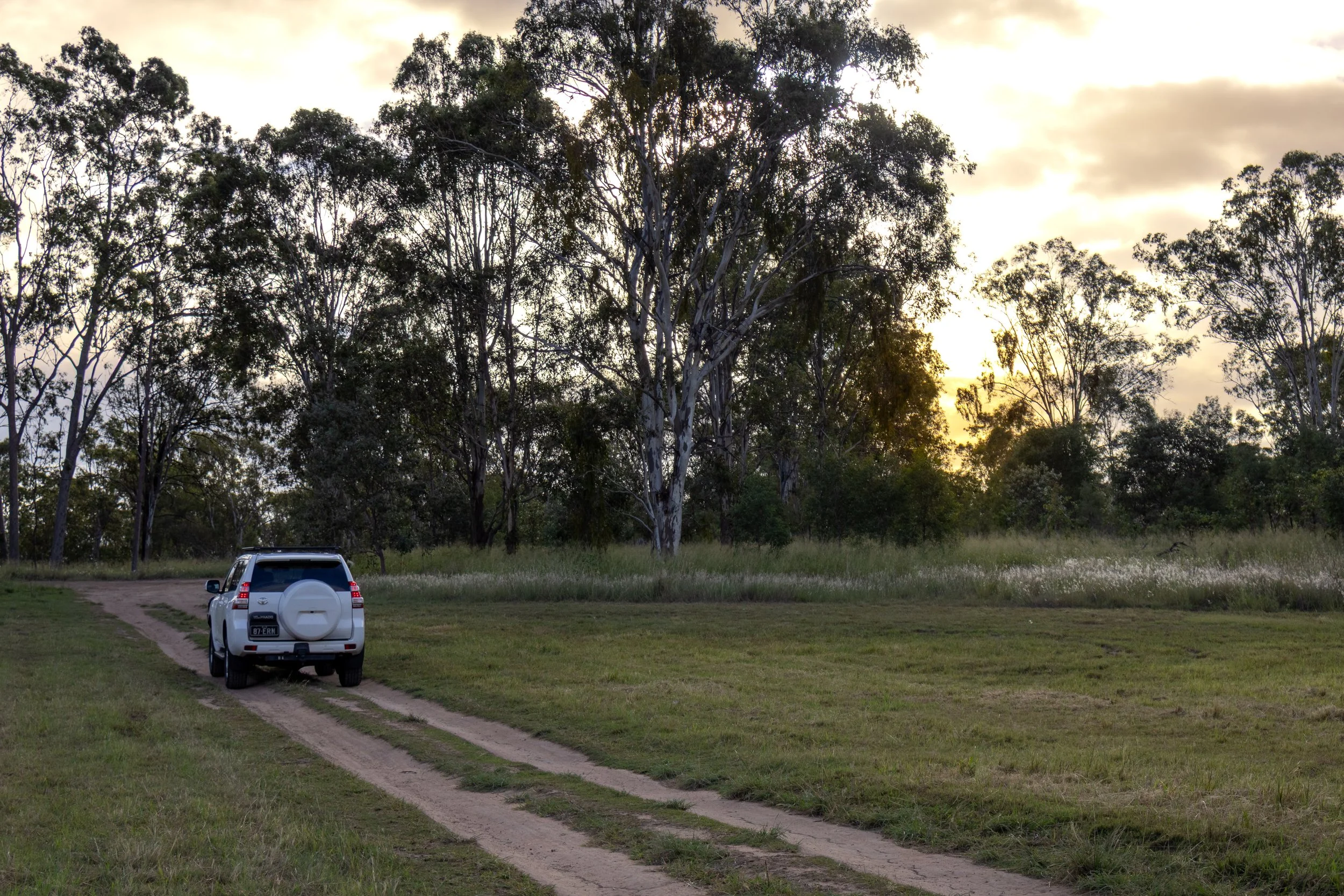 Wandering Wallaby Tours, Ipswich and surrounds, within an hour of Brisbane